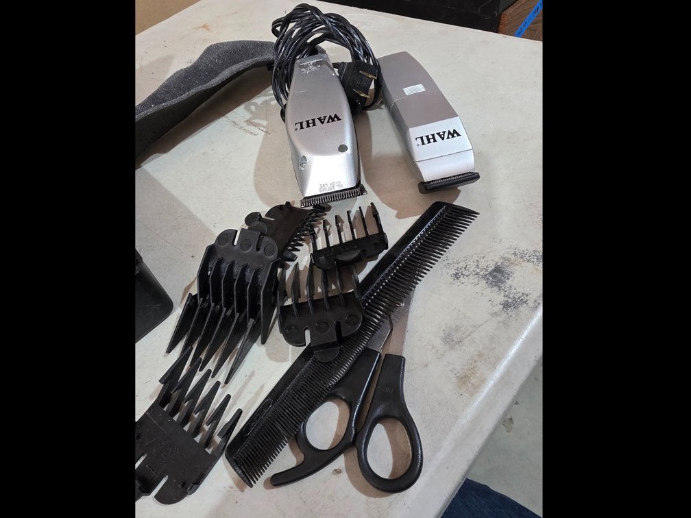 Wahl Hair Clippers