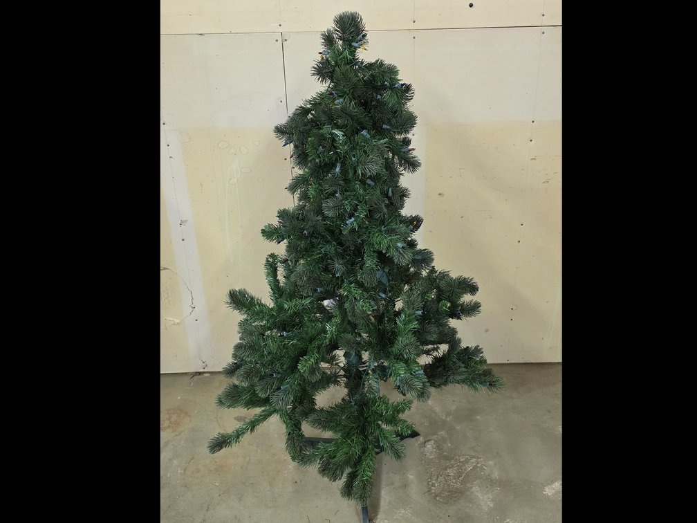 4½ Ft Litte Park Mountain Tree