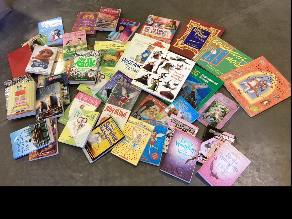 Assorted Childrens Books