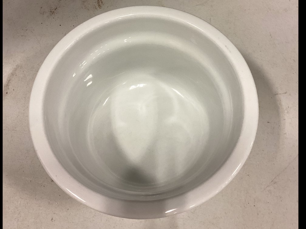 Williams Sonoma Ceramic Bowl - Made in Italy