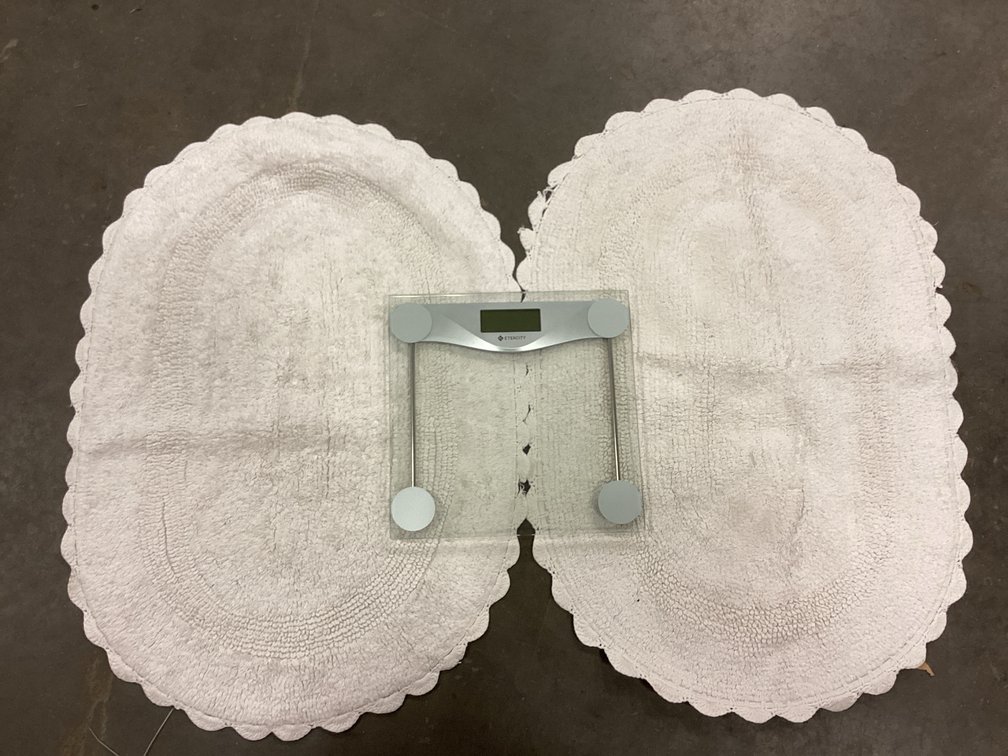 Bathroom Rugs with Scale