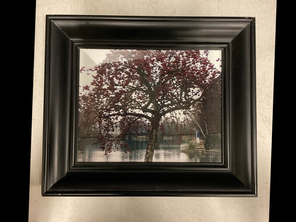 Tree Picture
