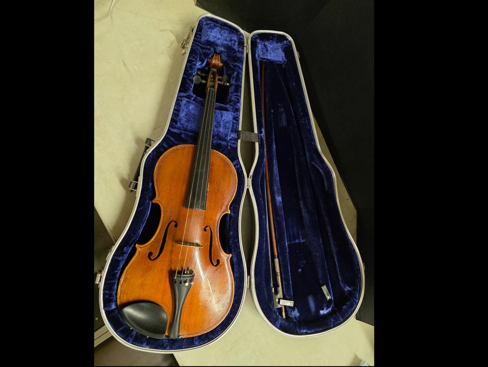 Violin
