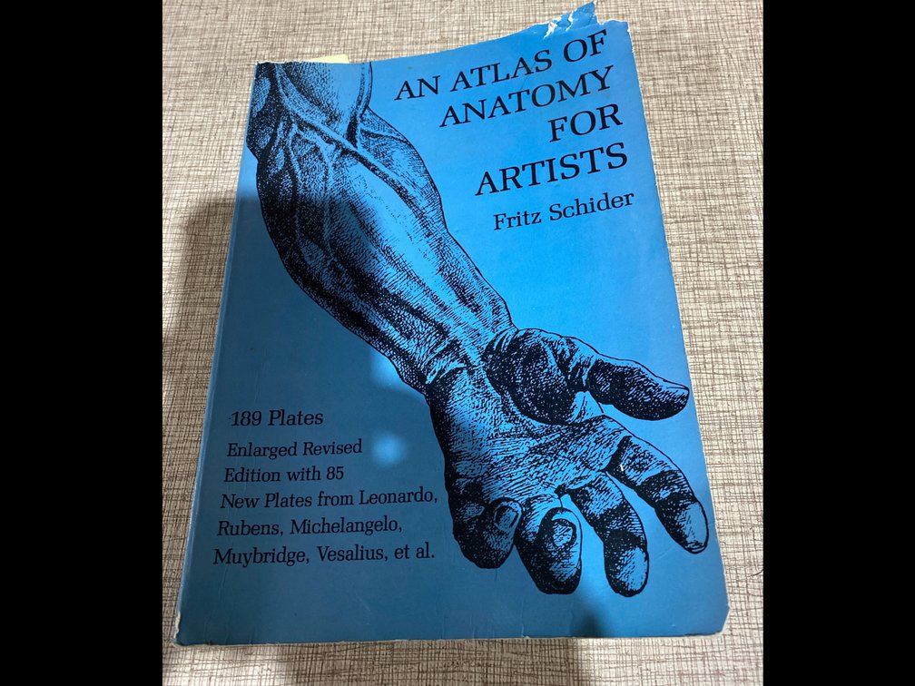 Atlas of Anatomy for Artists Book