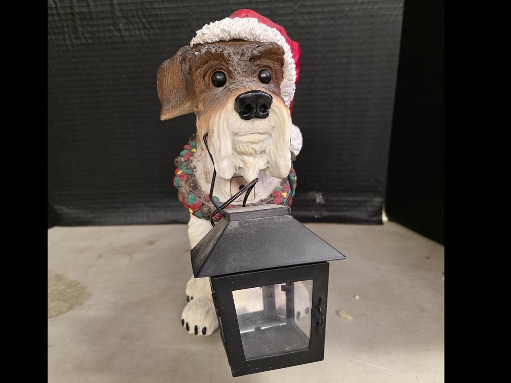 Dog with Light