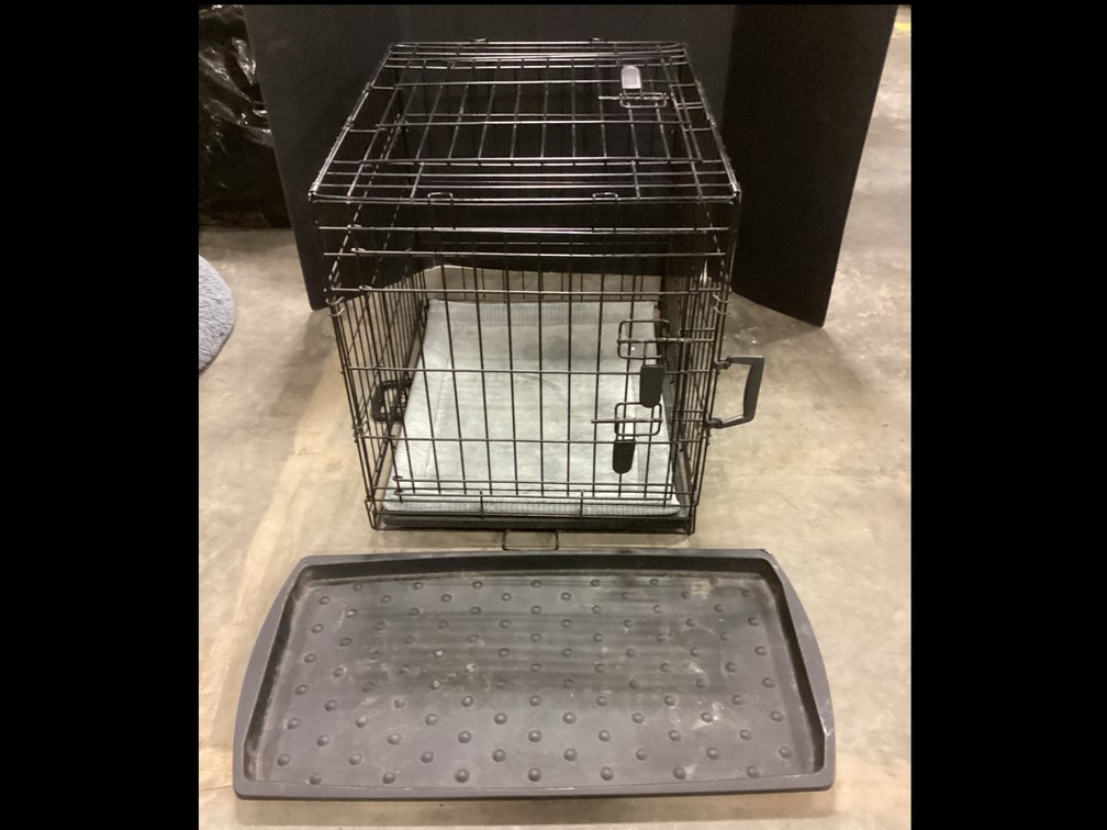 Pet Basic Training Create