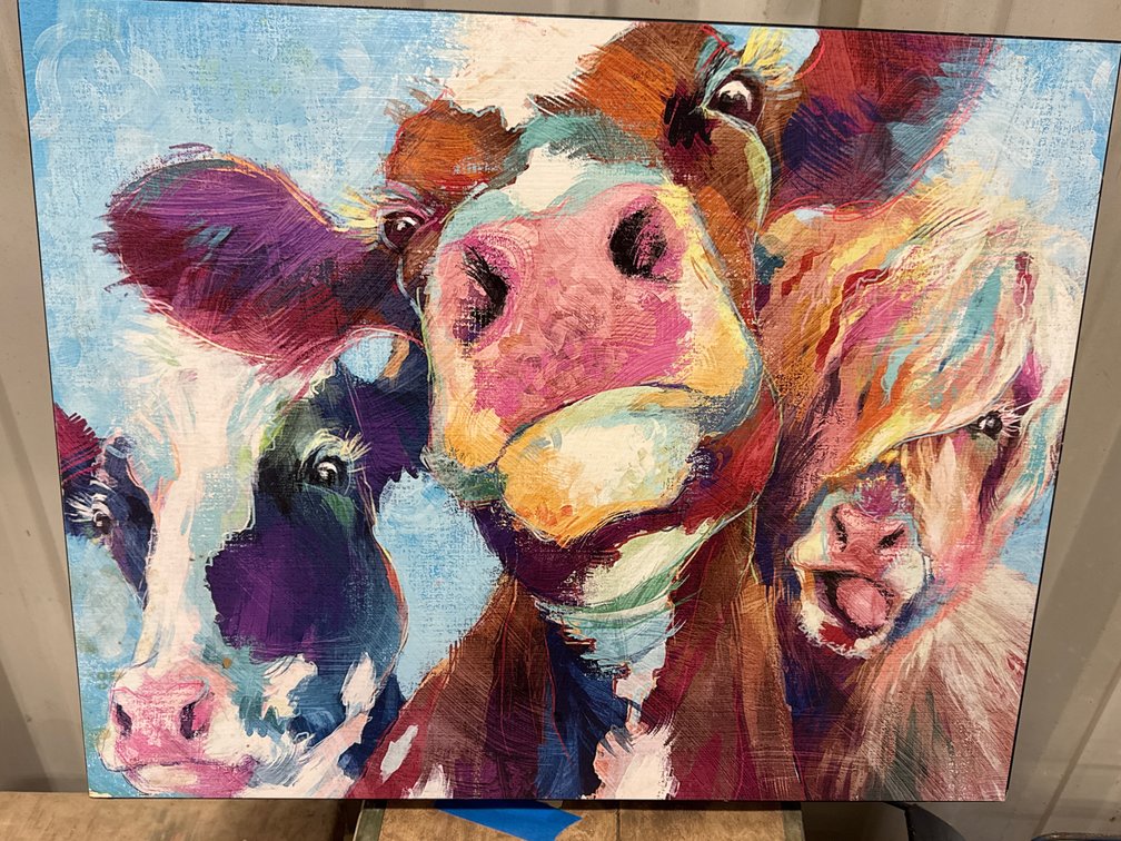 Painted Cows Picture