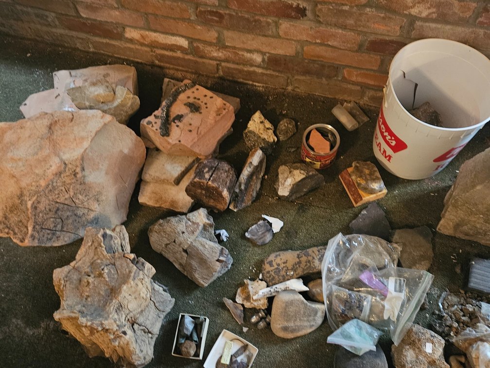 Rocks and Fossils 