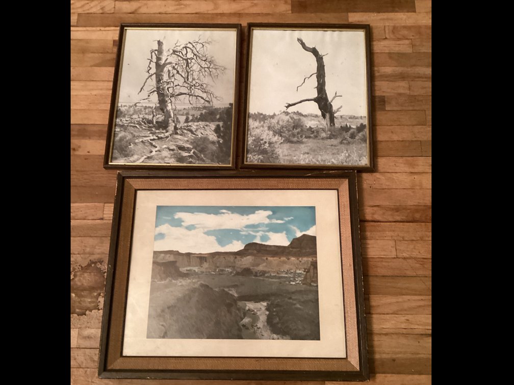 Framed Pictures