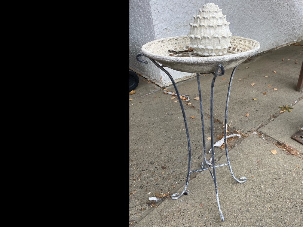 Bird Bath 