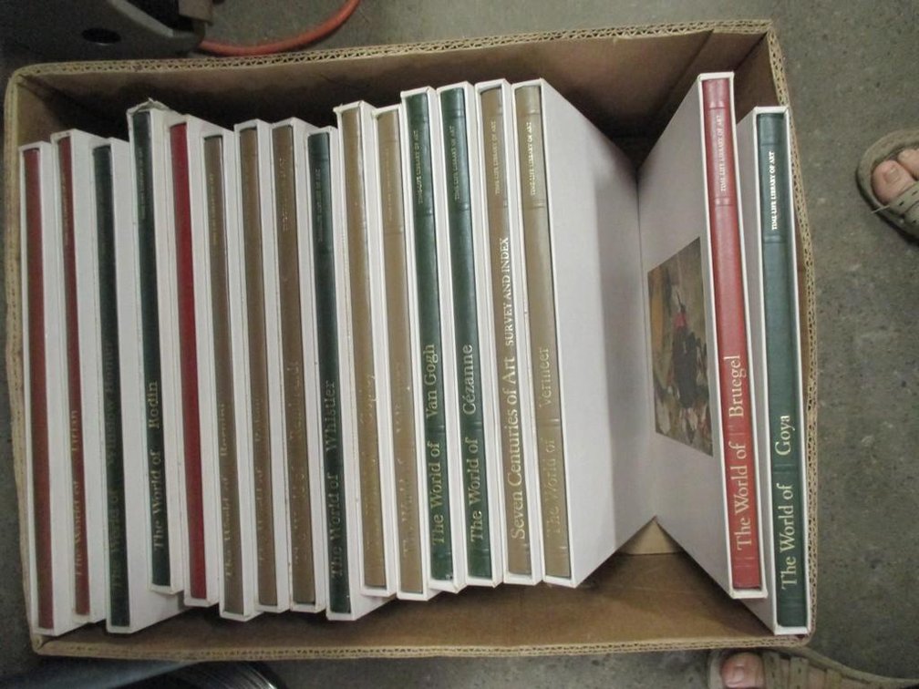 (17)  Time-Life Library of Art books