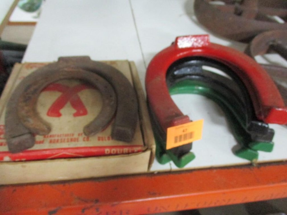 Horse shoe group