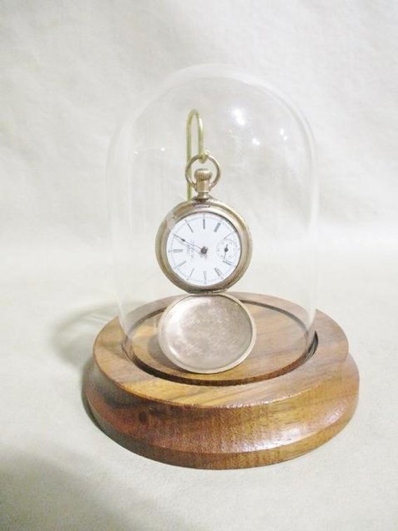 AWC Waltham pocket watch in glass dome