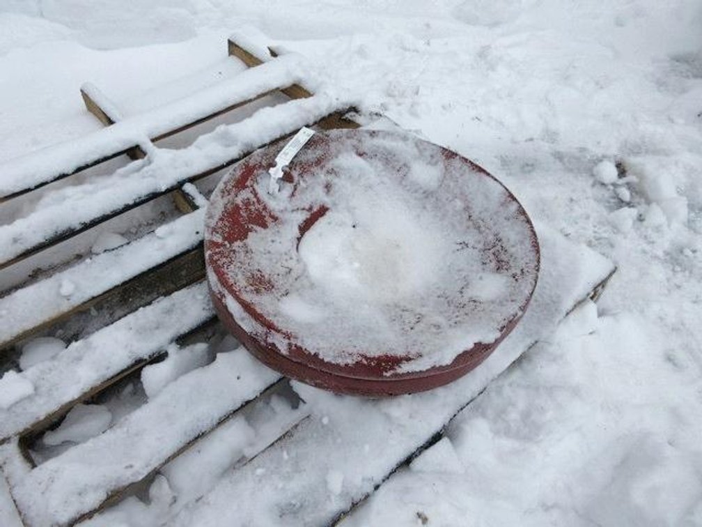 (2) Minneapolis Moline wheel weights