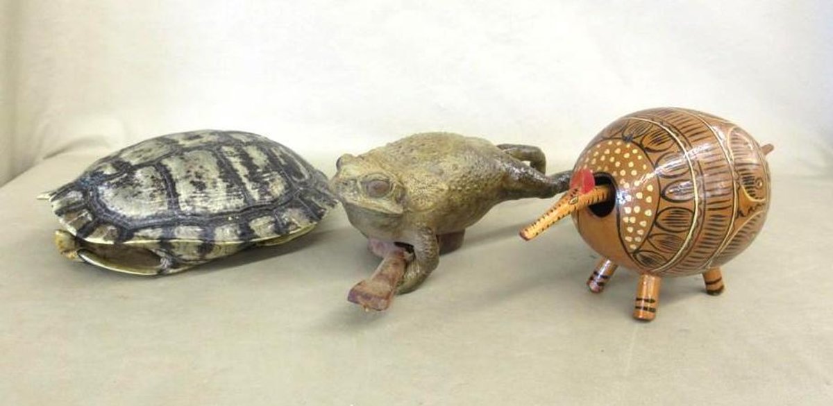 Collectibles group