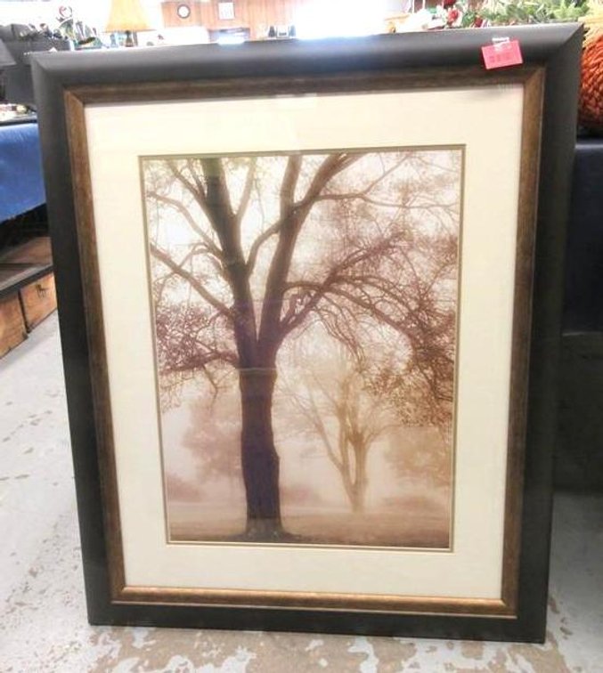 "The Loner" framed print