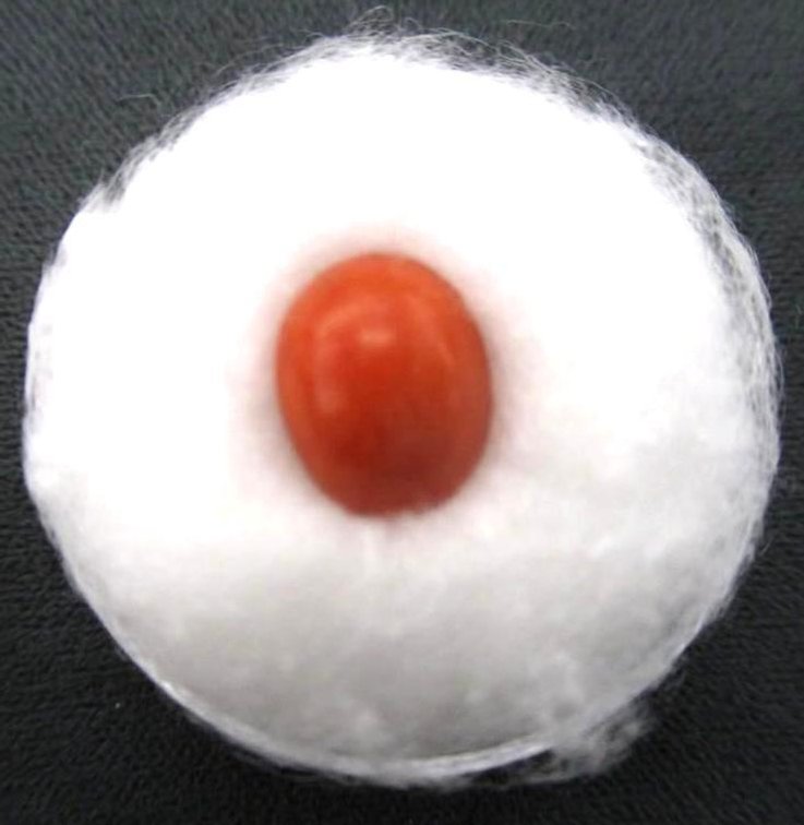 Precious red coral stone