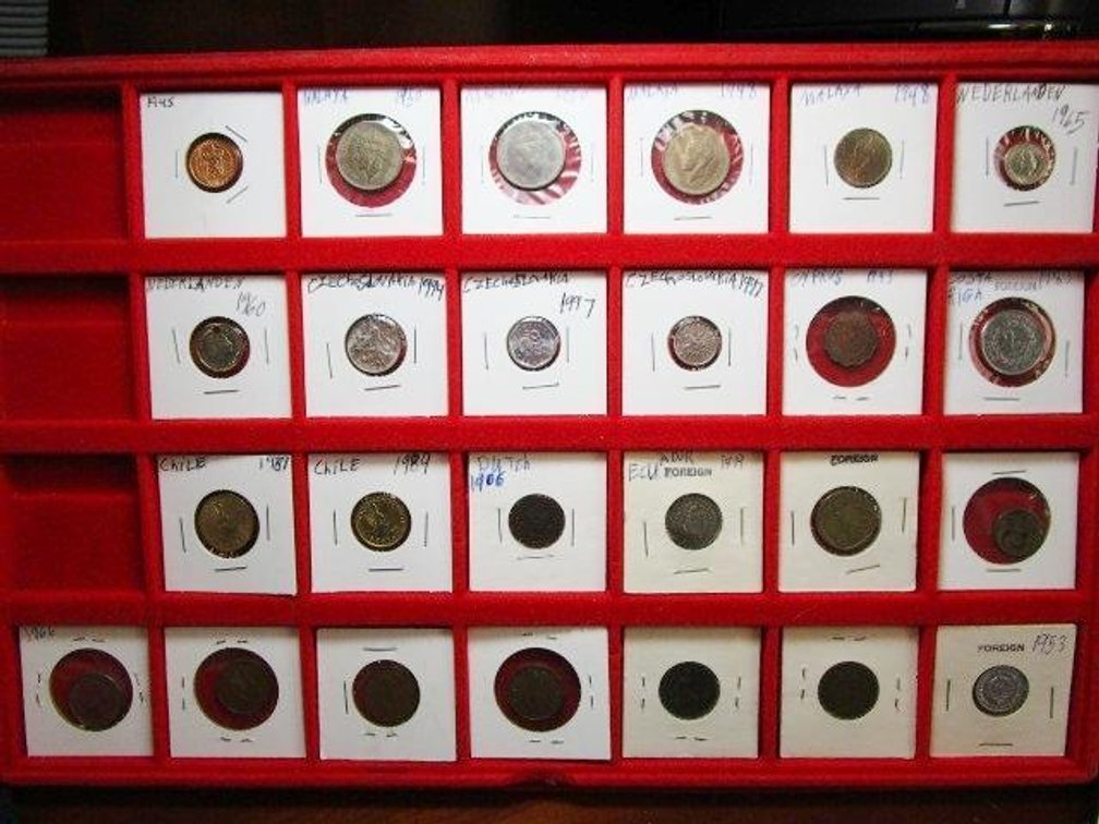 (25) Foreign coins