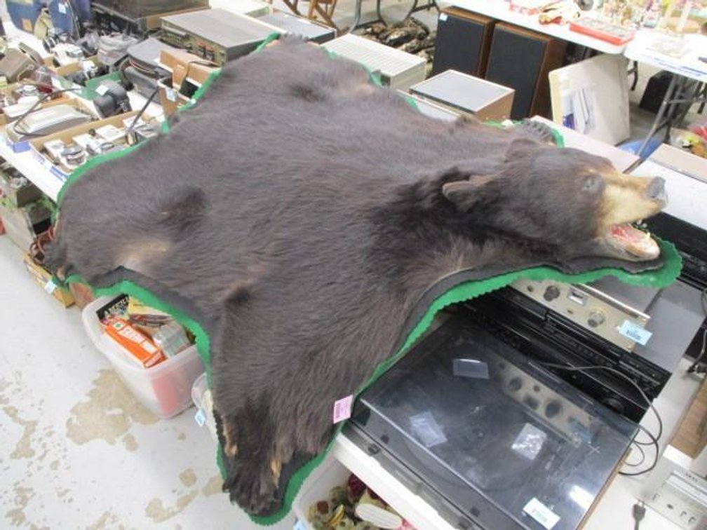 Black Bear rug