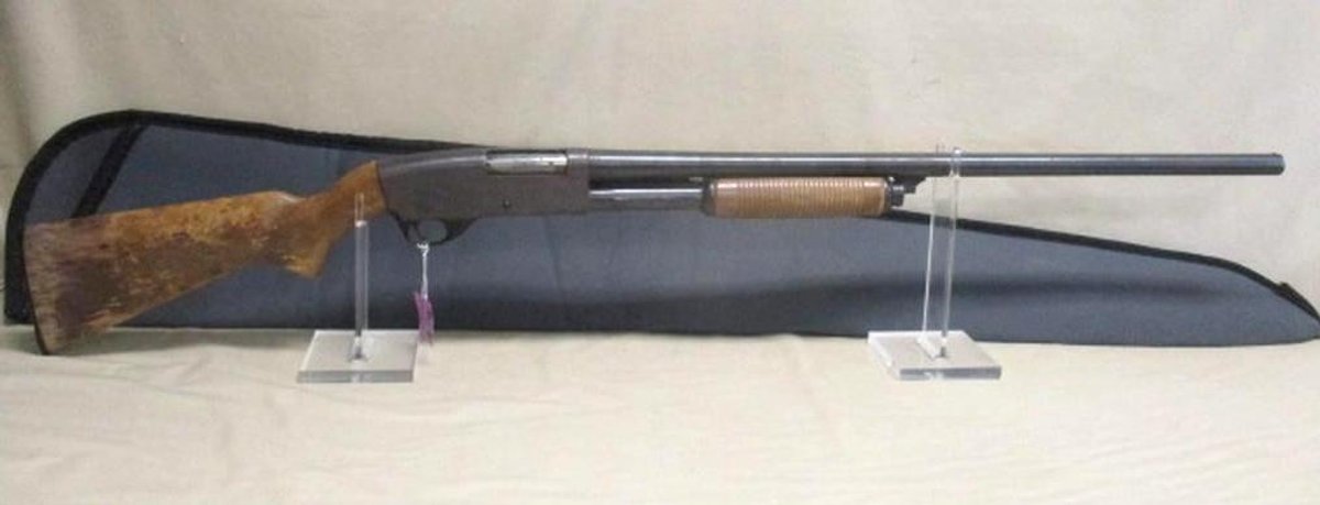 Image for Ammo, Firearms, Coins and Outdoor (purple tag)