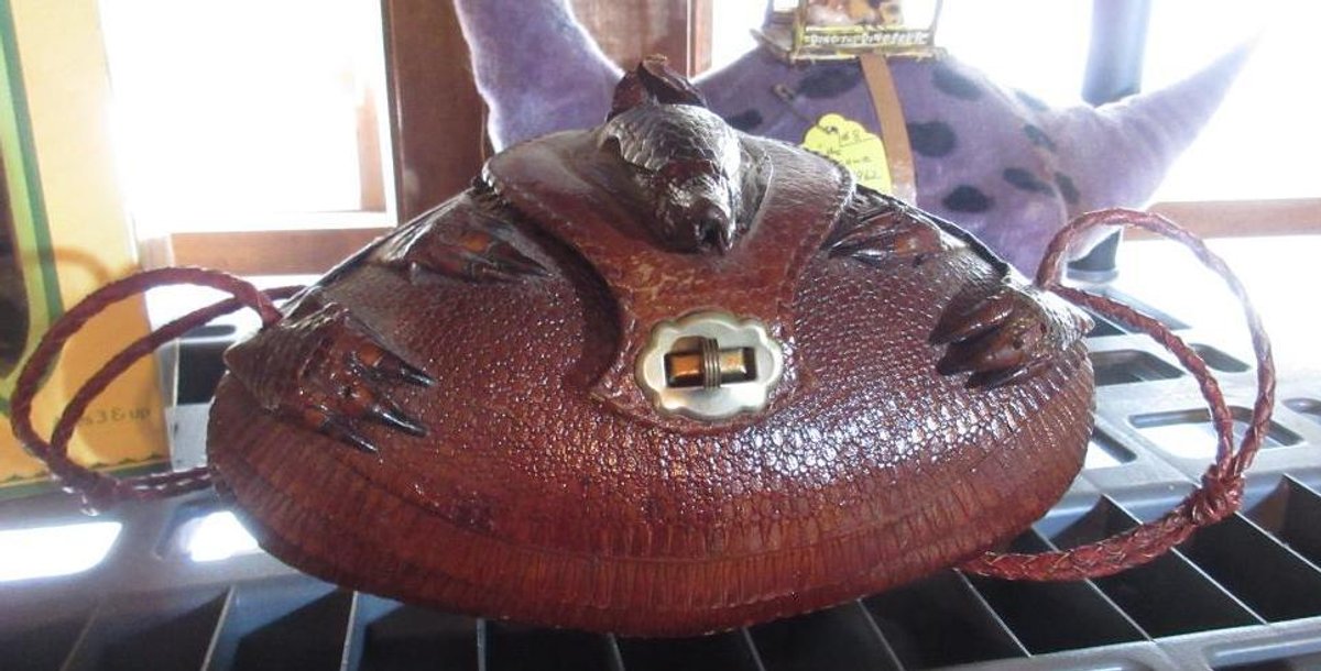 Armadillo purse