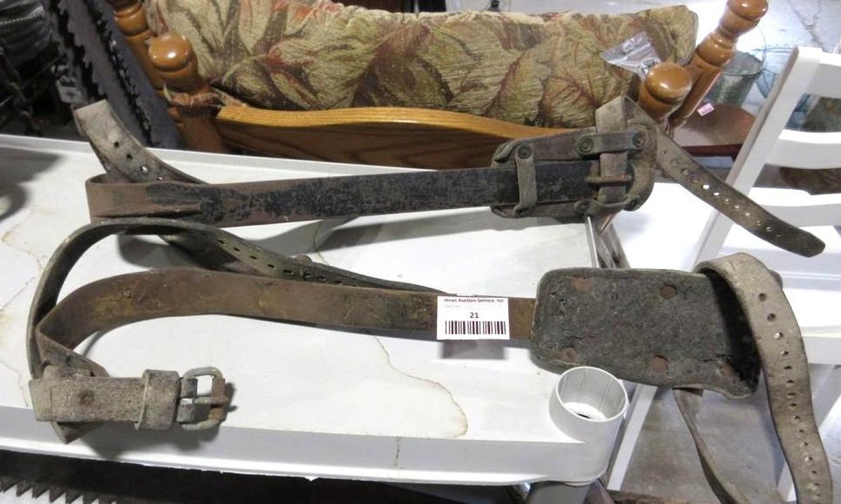 (2) Vintage tree climbing spikes