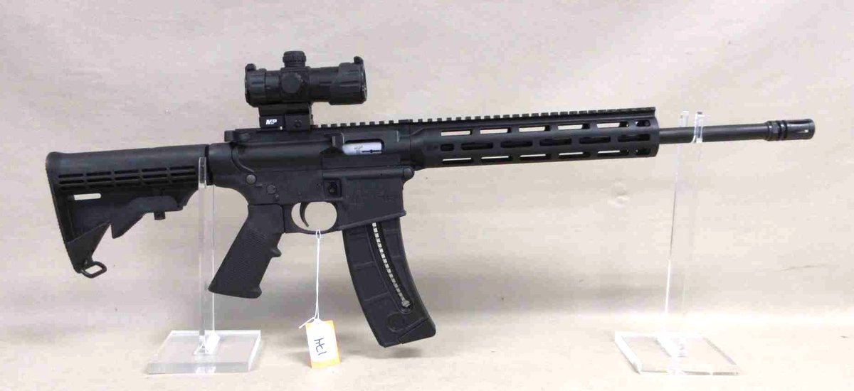 Smith & Wesson M&P 15-22P .22LR semi auto rifle (subject to transfer fee)