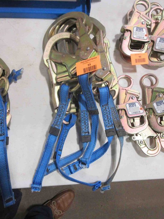 (6) DBI Sala carabiners