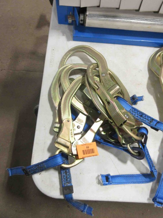 (6) DBI Sala carabiners