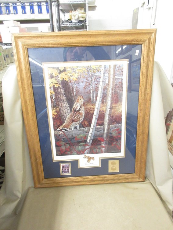 Framed and signed Collector's Edition Harr Antis print