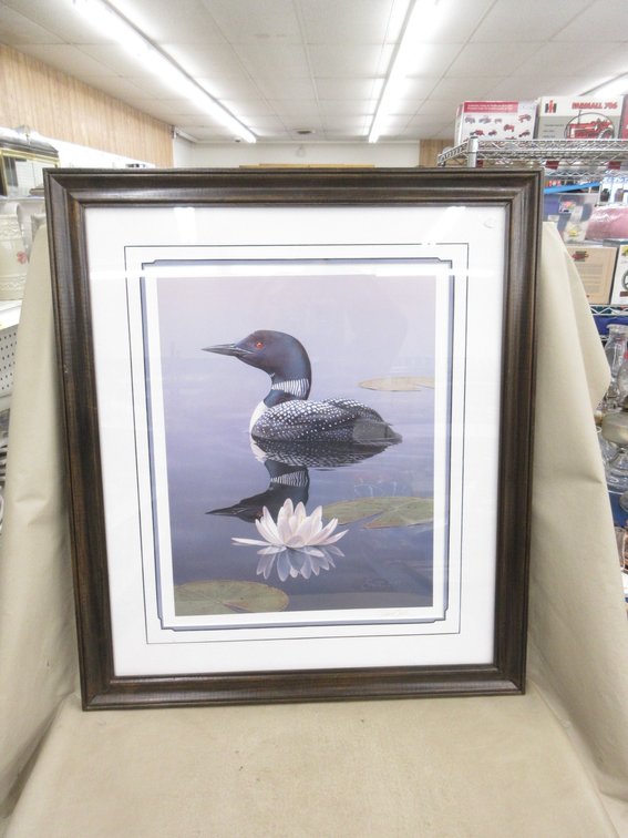 Framed and signed Daniel Smith Loon Print