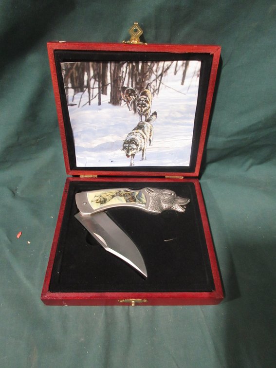 Wolf collector knife in wood case