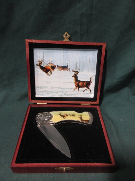 Deer collector knife in wood case