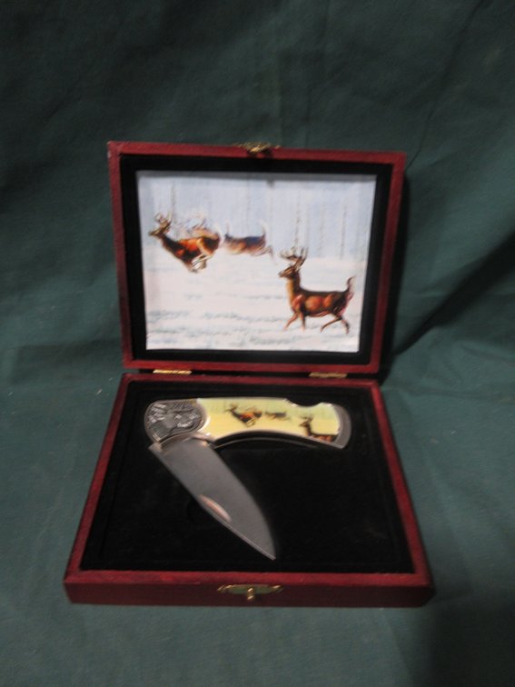 Deer collector knife in wood case