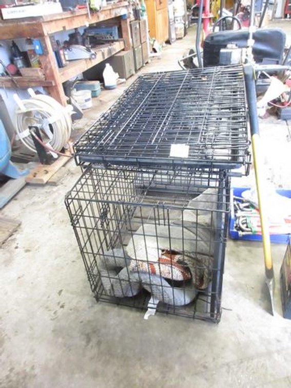(3) Wire folding portable dog kennels