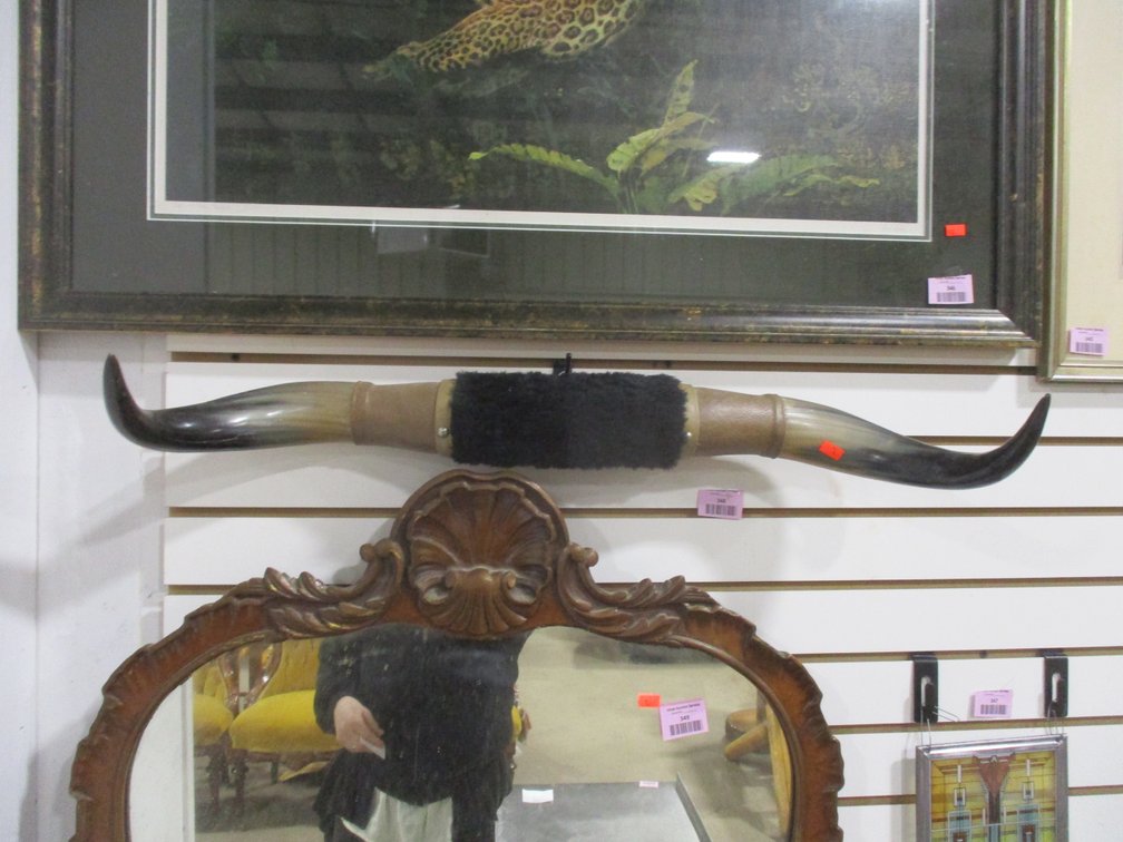 Bull Horns wall hanging