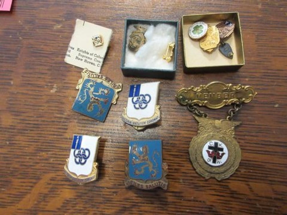 Group of vintage and antique fraternal pins