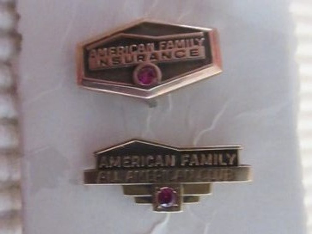 (2) 10K American Family yellow gold pins with stones