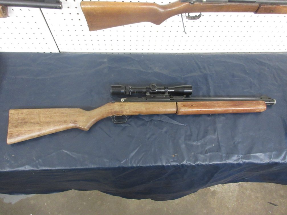 Unmarked BB gun with Bushnell Sport scope