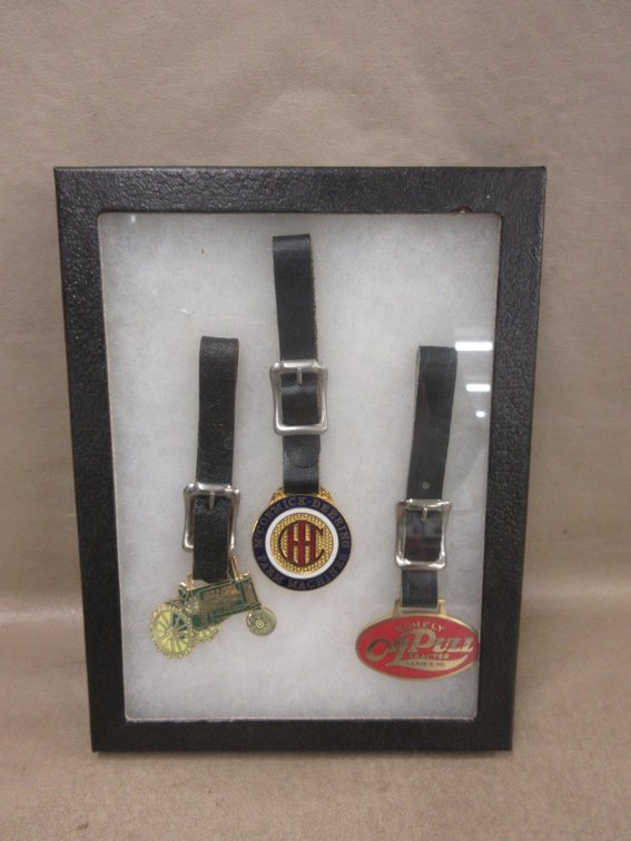 (3) Watch fobs