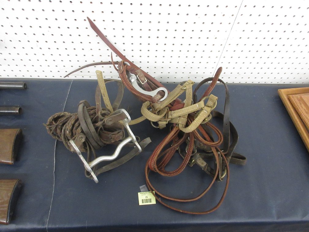 Horse tack group