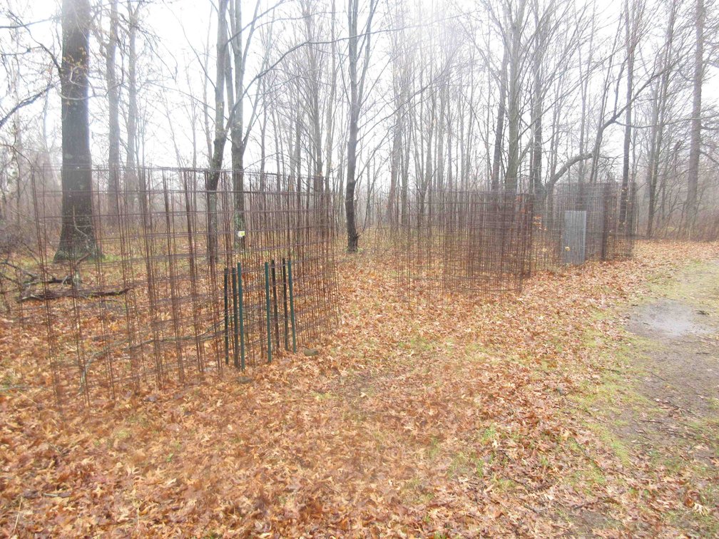 Group of wire cages and panels