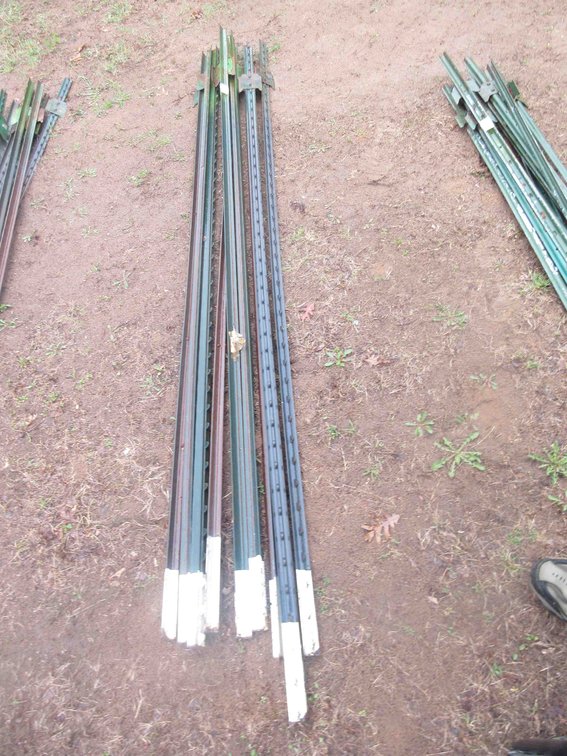 (8) Steel T-posts