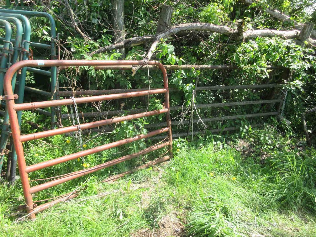 (2) 6-Rail stock gates