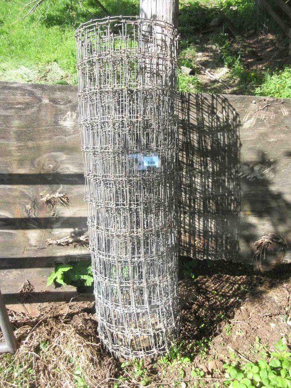 Roll of wire fencing