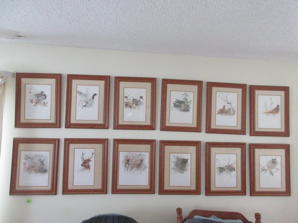 Set of (12) Mads Stage scientific wildlife prints in frames