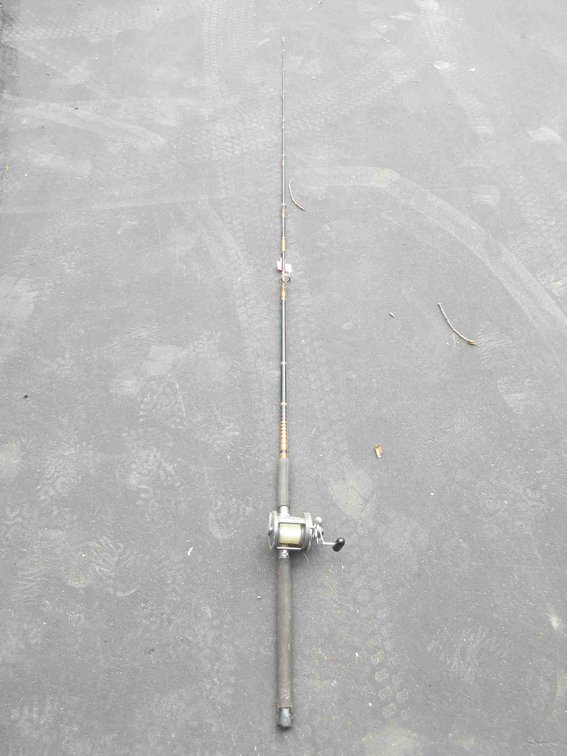 Browning Silaflex 8'3" fishing rod