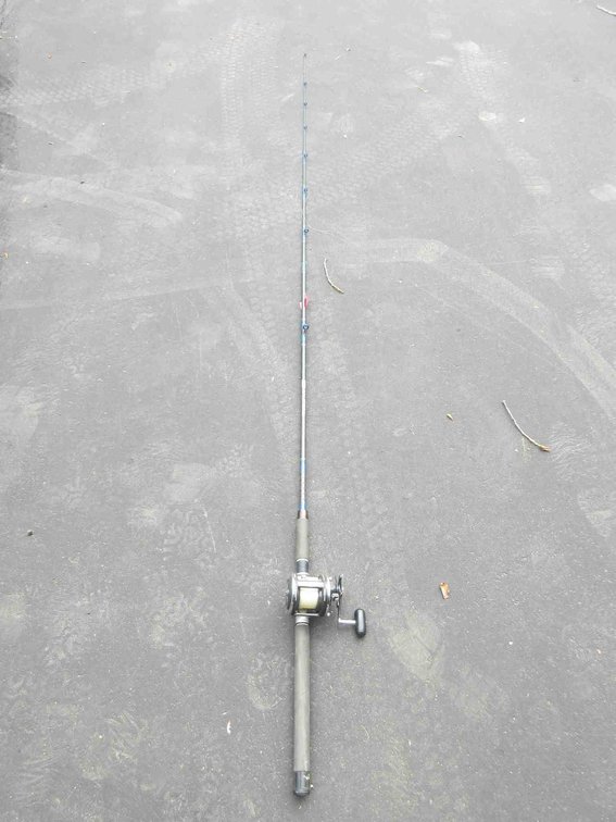 Shakespeare Alpha-X 8'6" rod