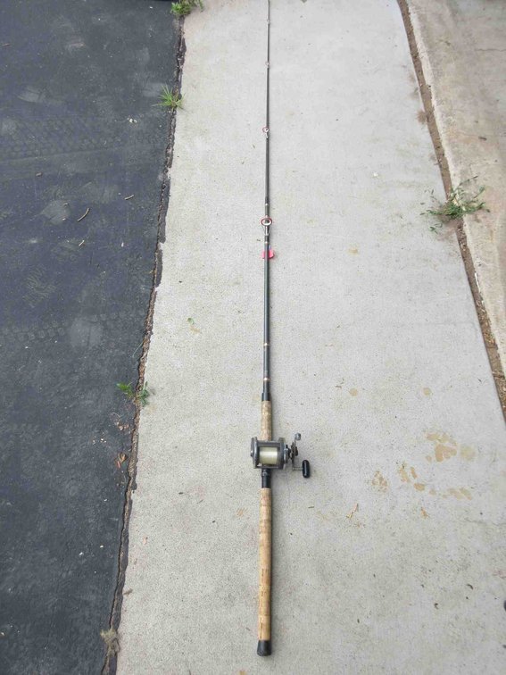 Daiwa 8'9" rod