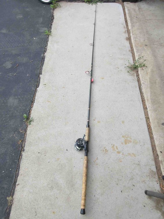 Daiwa 8'9" rod